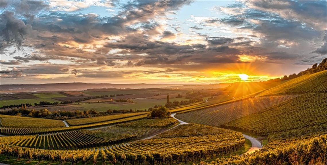 Lockmittel von Faust bis Enzgärten