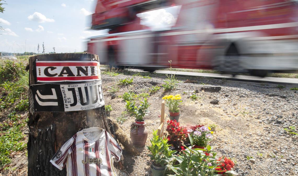 Unter anderem erinnern Blumen erinnern an den Unfall an der B10 zwischen Illingen und Mühlacker. Foto: Archiv