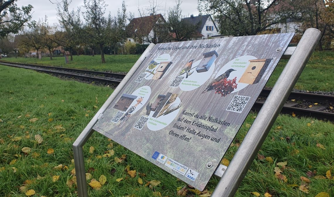 Unter dem Namen „Aufwertung einer monotonen innerstädtischen Obstbaumwiese in eine insektenfreundliche artenreiche Streuobstwiese“ hatte die Stadt Vaihingen 2020 am Bundeswettbewerb „Naturstadt. Kommunen schaffen Vielfalt“ teilgenommen. Das Projekt wurde mit 25000 Euro gefördert. Das Ergebnis kann sich sehen lassen. Foto: privat