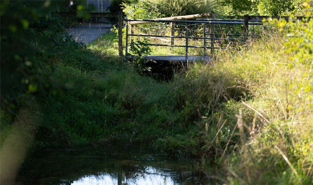 Unter der Brücke hatten Anwohner schon früh den Geruch mitbekommen.