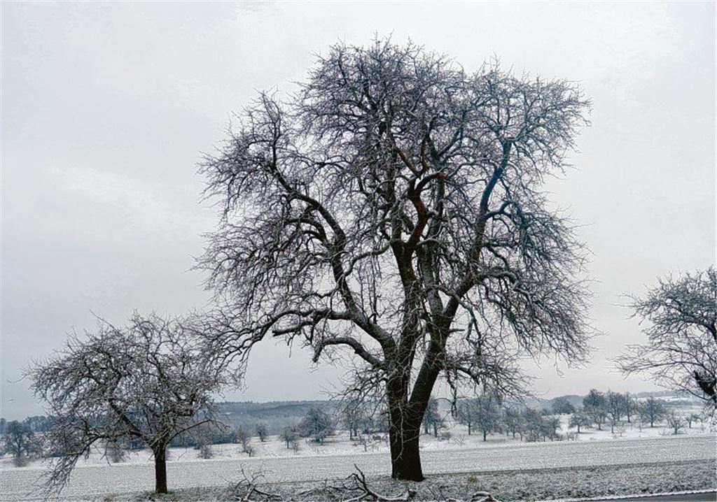 Winterzeit