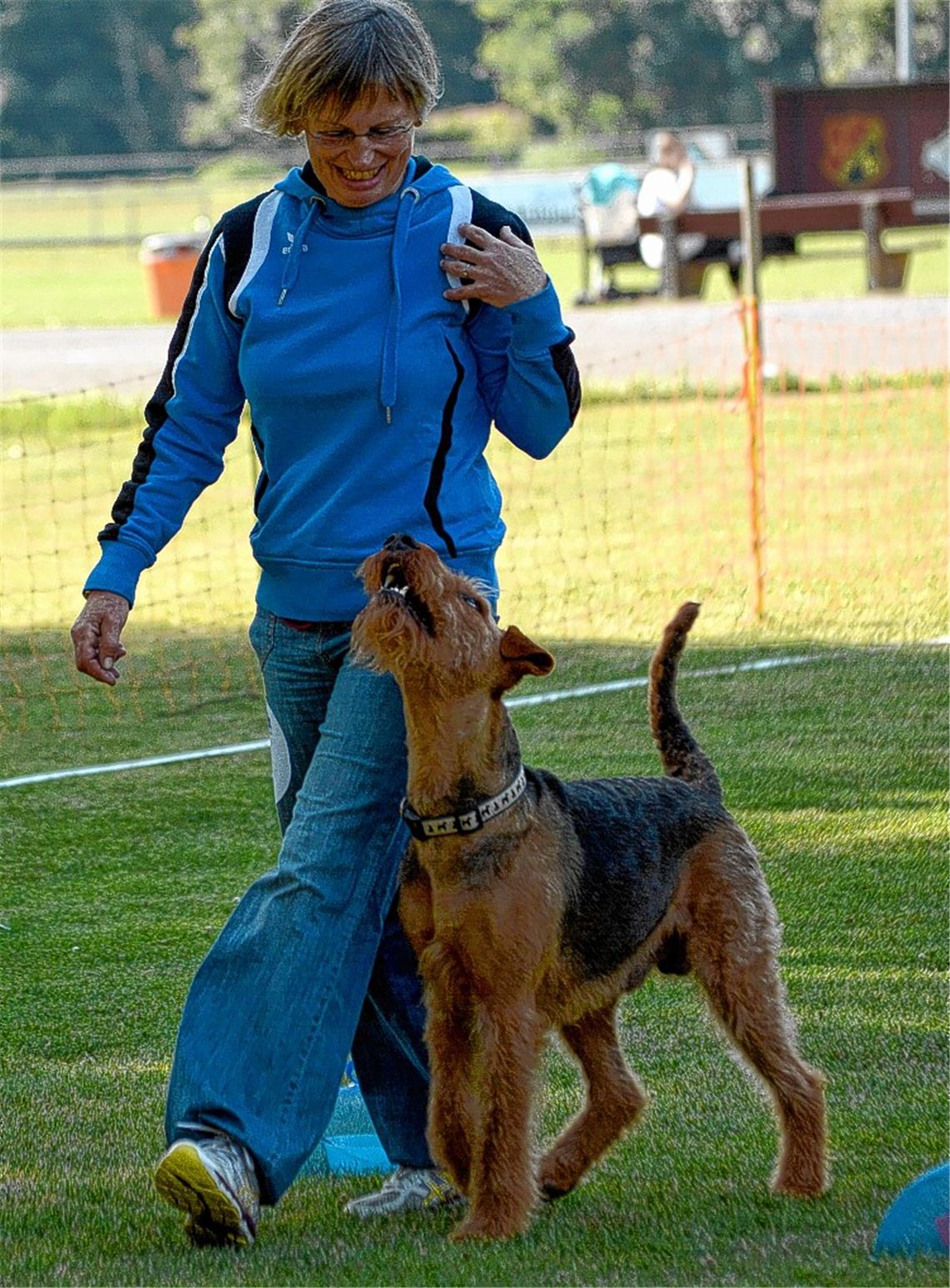 HSVM heimst fast alle Titel ein