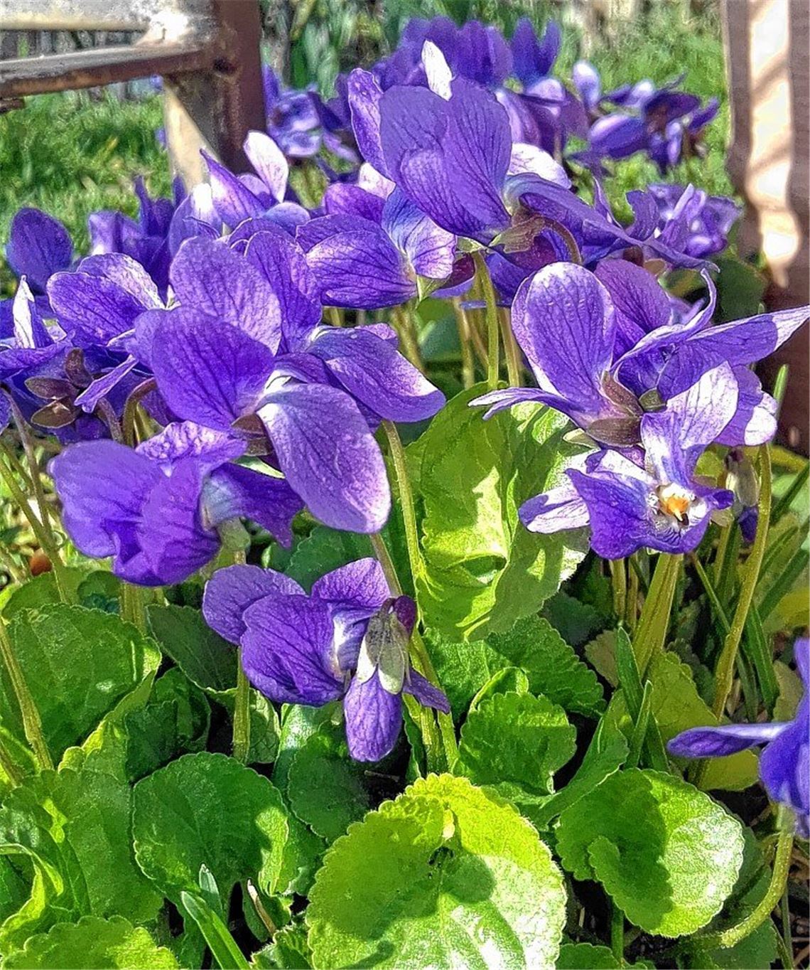 Frühlingsgefühle Frühlingsgefühle