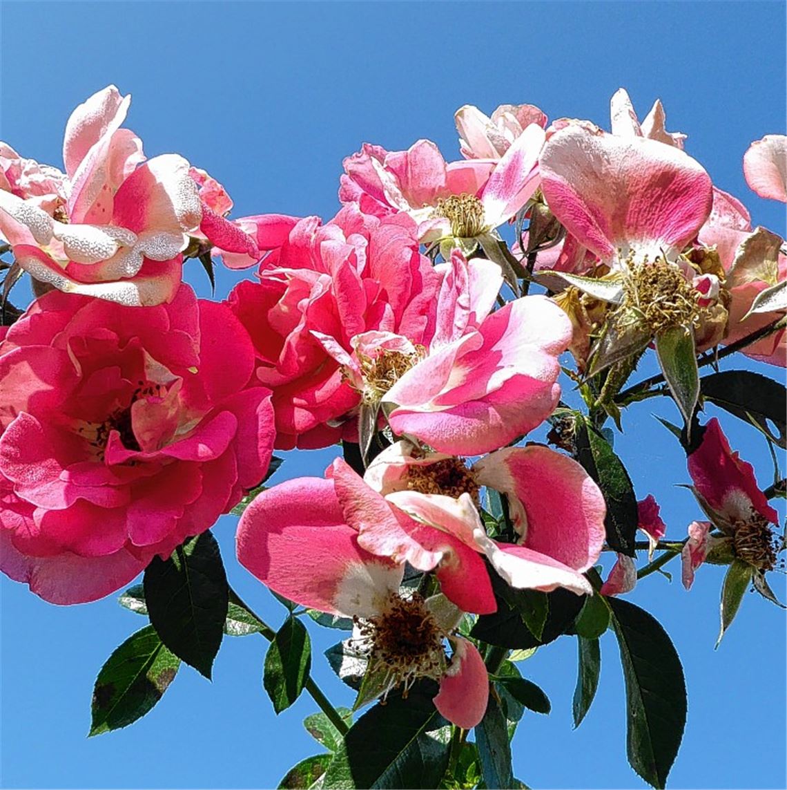 Sommerzeit Sommerzeit