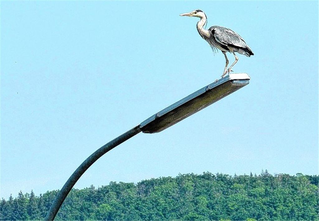 Frühlingsgefühle
