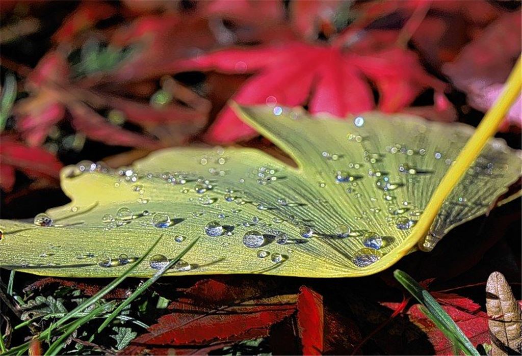 Herbstfarben