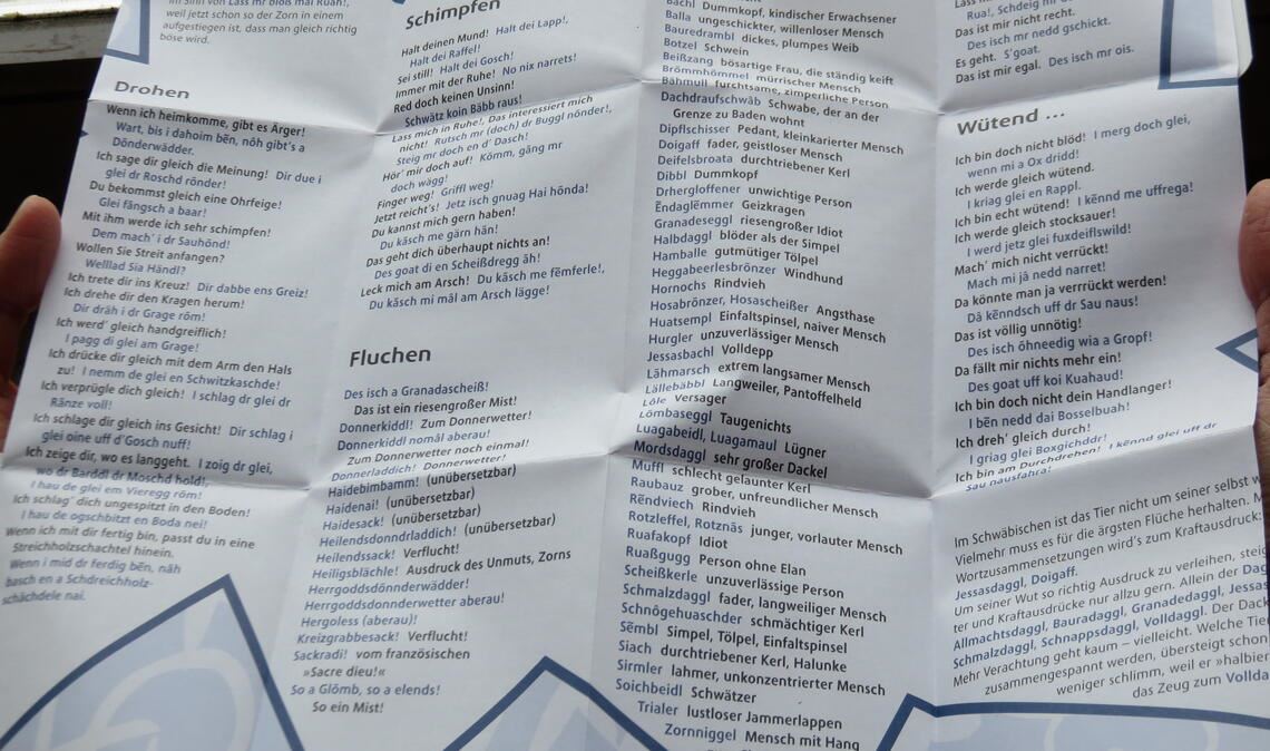 Verlage, die auf Reiseführer oder Wörterbücher spezialisiert sind, haben teilweise auch Dialekt-Sprachführer in ihrem Programm. Zugereiste können sich auf diese Weise schnell einen Eindruck vom Vokabular der Region machen. Aber wie verbreitet sind Dialekte überhaupt noch? Braucht es irgendwann ein Wörterbuch für die Einheimischen? Foto: Becker