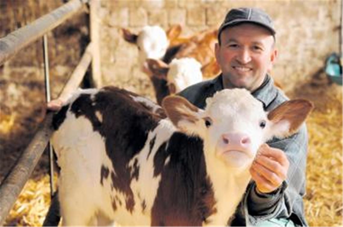 Vermeintliche Bauernhofidylle: Hinter dem romantisch-ländlichen Postkartenmotiv steckt harte Knochenarbeit, für die der Enzberger Milchbauer Bernd Rometsch nicht viel bekommt. Der Landwirtschaftsmeister, dessen 100 Kühe am Tag 2200 Liter Milch produzieren, klagt wie seine Berufskollegen über die niedrigen Erzeugerpreise.
Foto: Fotomoment