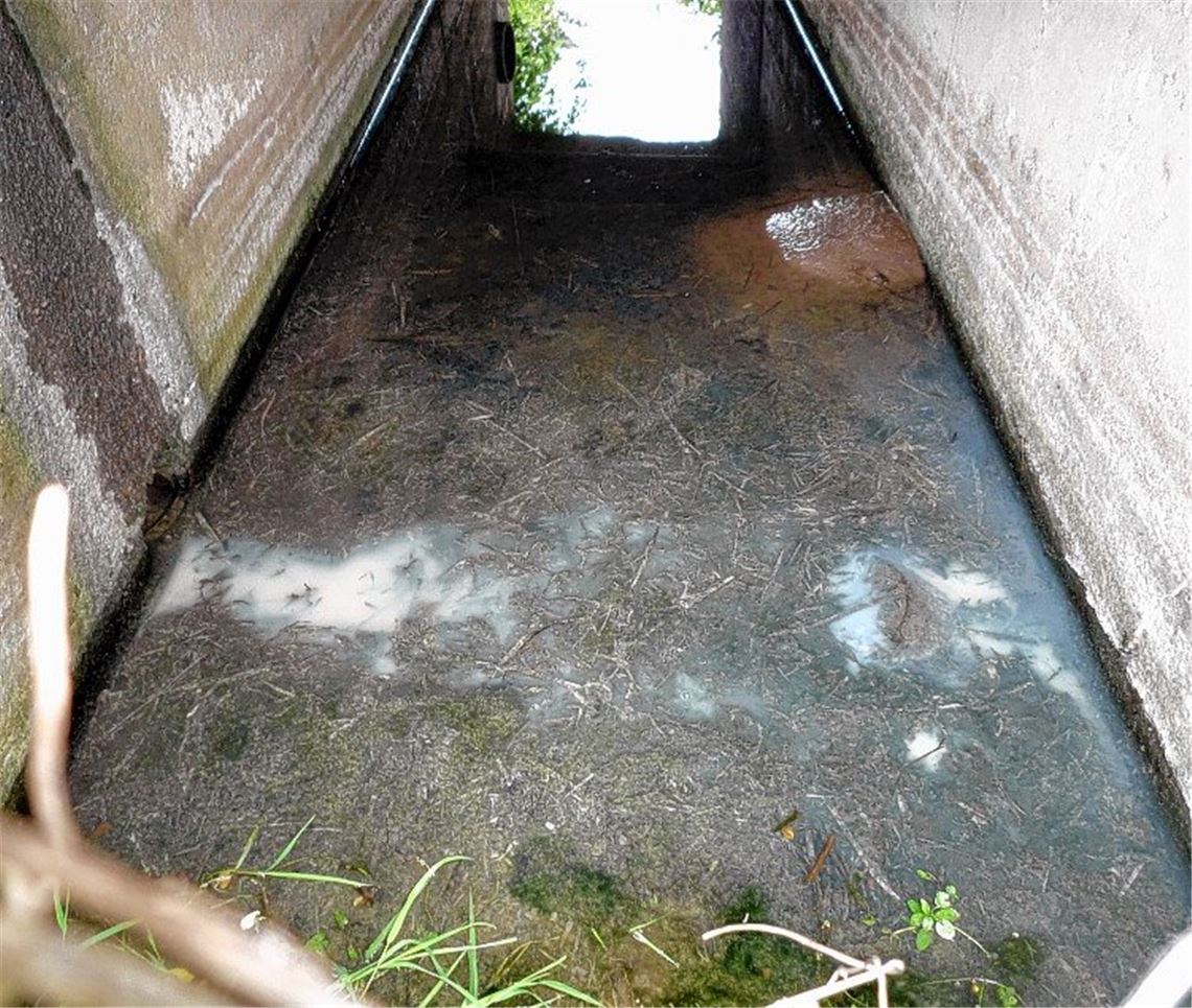 Stadt mahnt: Gully ist kein Mülleimer