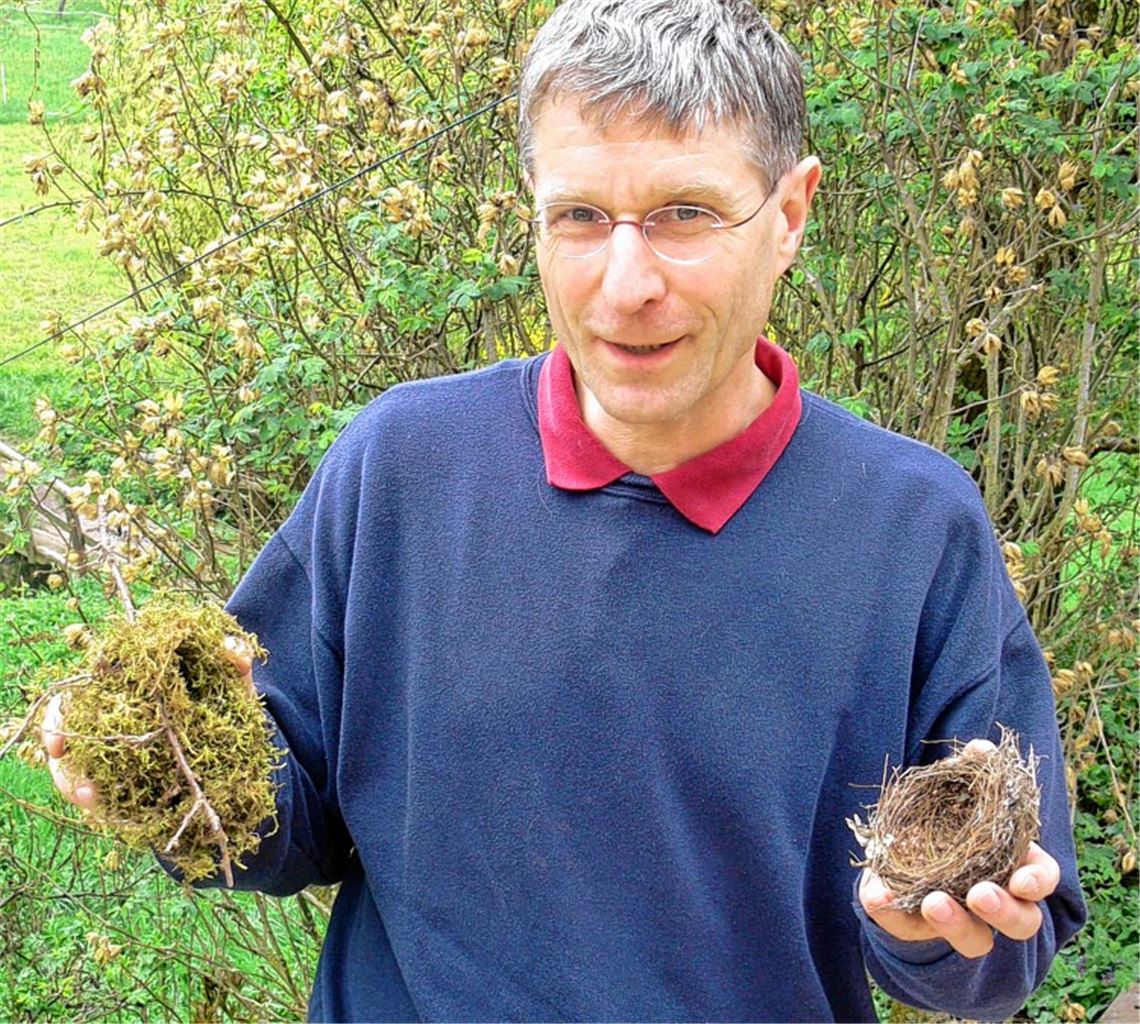 Verschiedene Vogelarten – verschiedene Nester: Dr. Stefan Bosch mit dem kugeligen Nest eines Zaunkönigs (li.) und dem filigranen Gebilde einer Mönchsgrasmücke.
