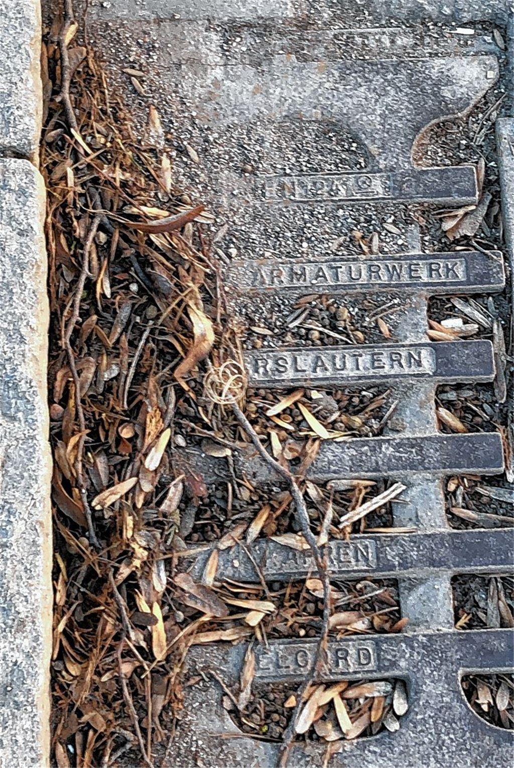 Verstopfte Gullys wecken Besorgnis