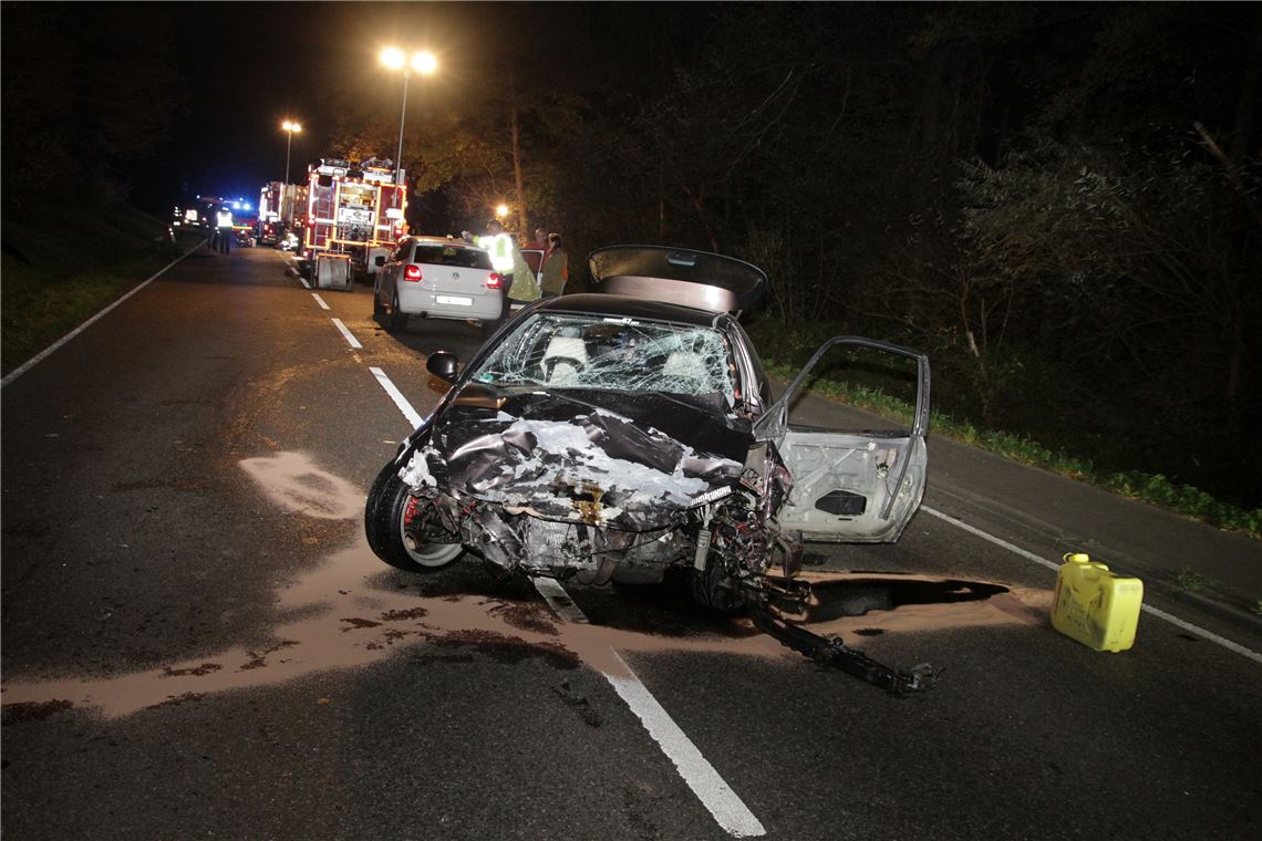 Verursacht hatte den Unfall ein 18-jähriger Autofahrer aus dem Enzkreis. Foto: Eisemann