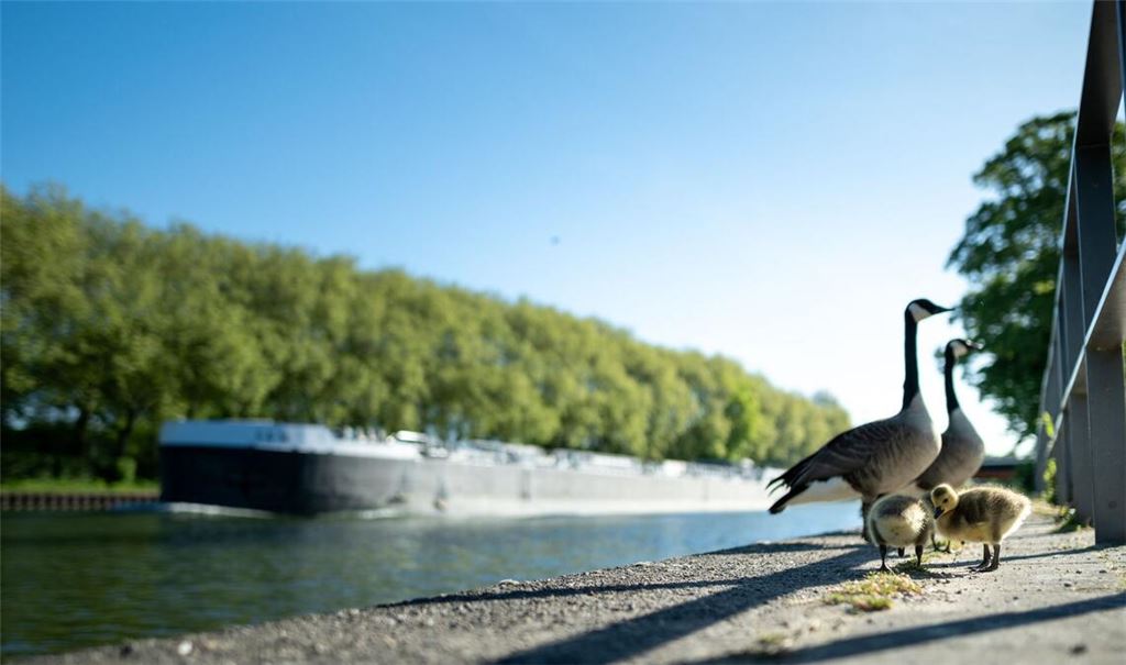Viel Sonne und Temperaturen über 20 Grad sind in den nächsten Tagen zu erwarten.