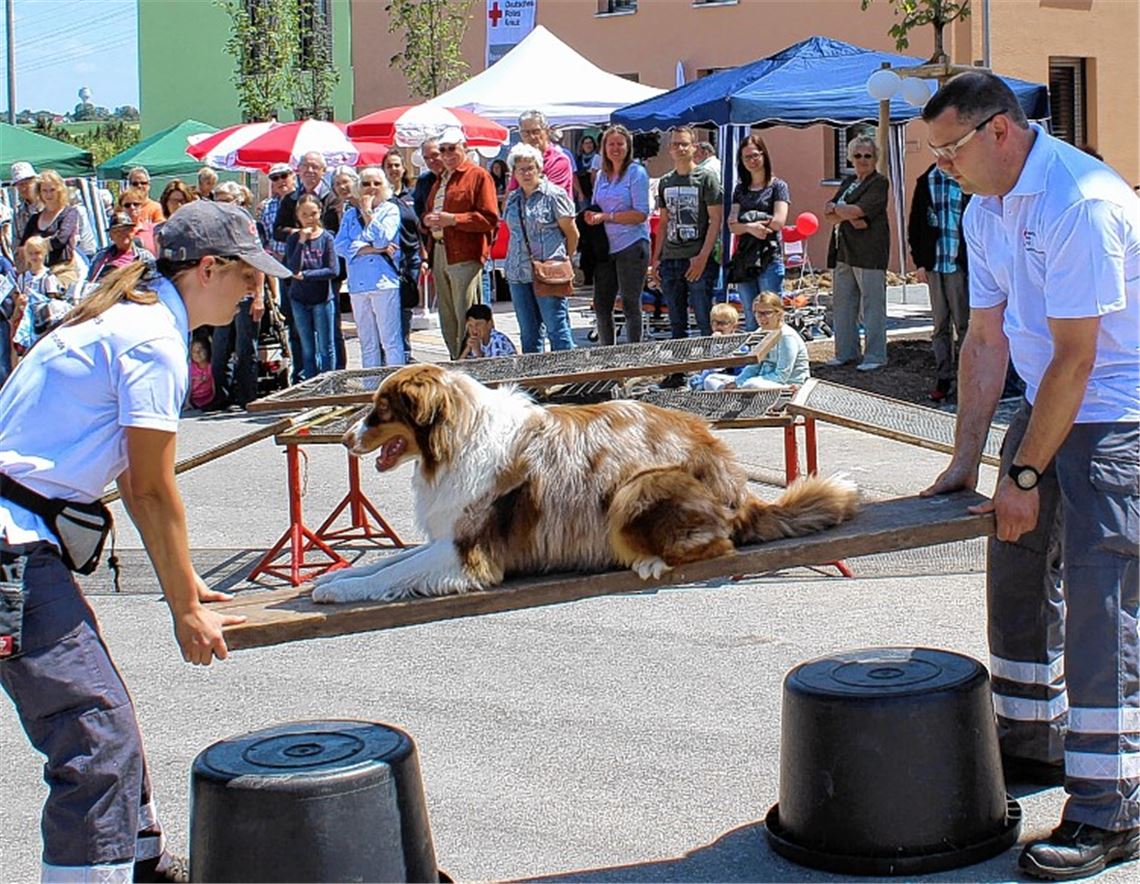 DRK gewährt Einblicke