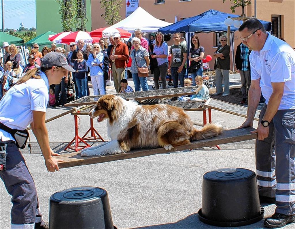 DRK gewährt Einblicke