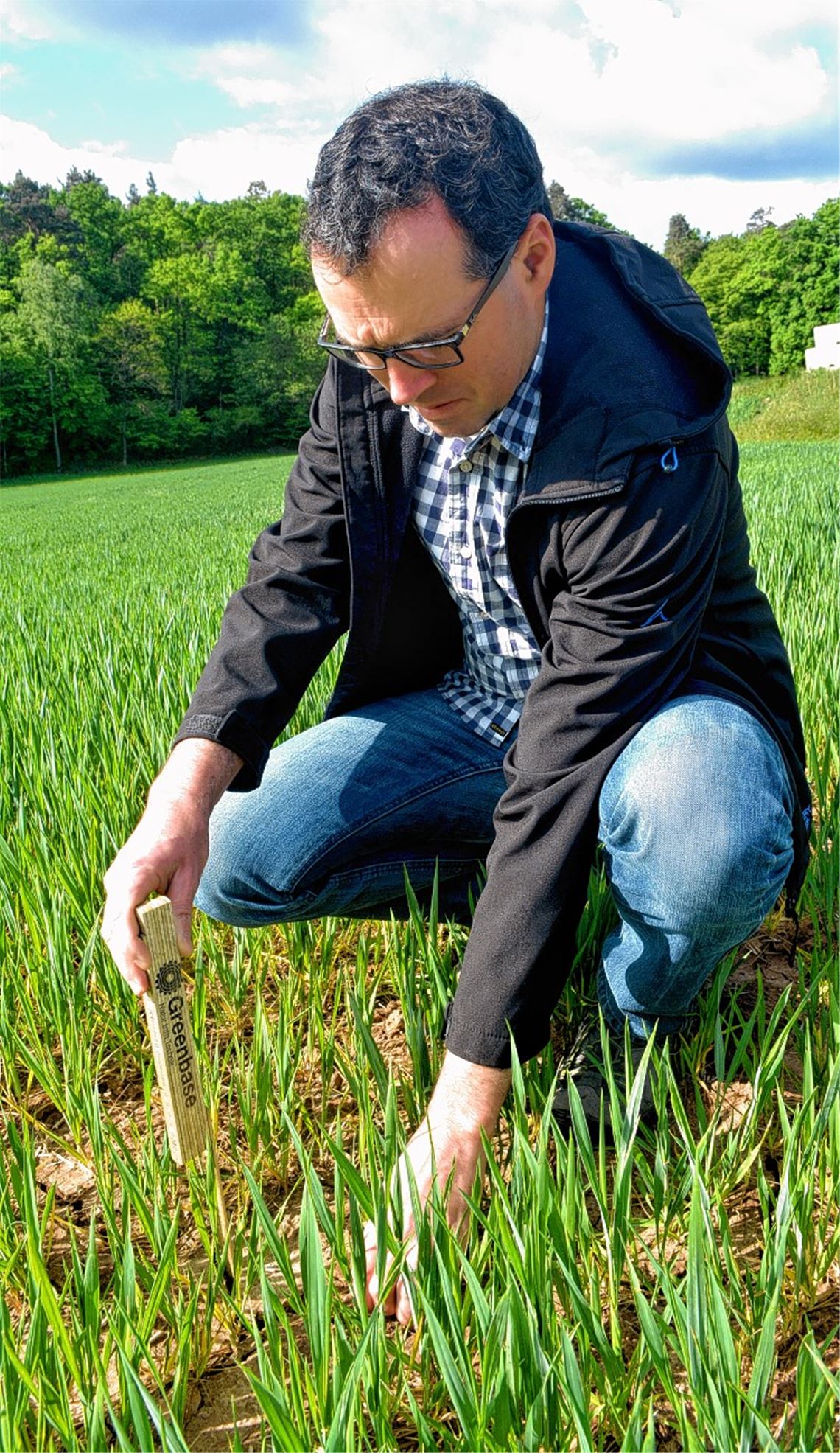 Viel zu trocken: Landwirt Dr. Christoph Gutjahr aus Diefenbach (links unten und rechts) zeigt die Schäden auf seinen Feldern, doch auch den Weinreben und dem Wald fehlt genügend Regen.Stahlfeld