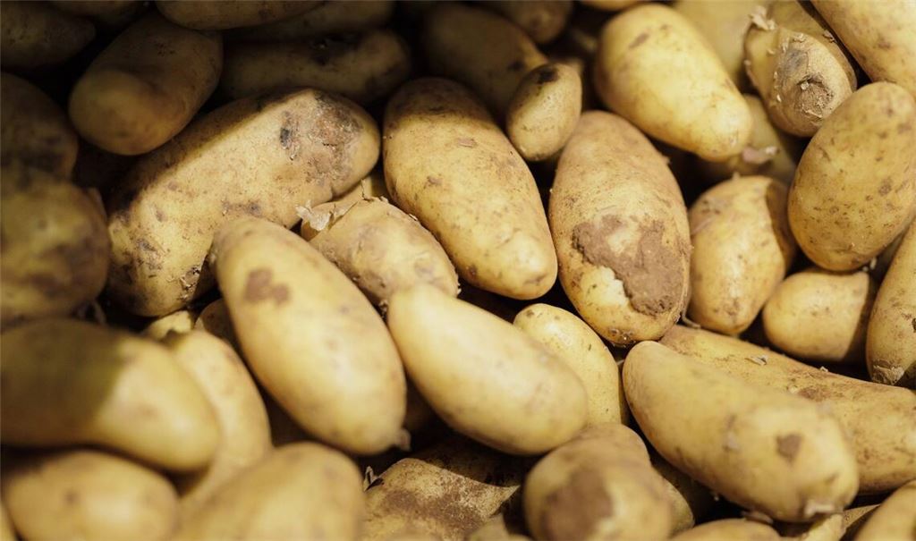 Viele Kartoffeln landeten auf der Straße (Symbolbild).