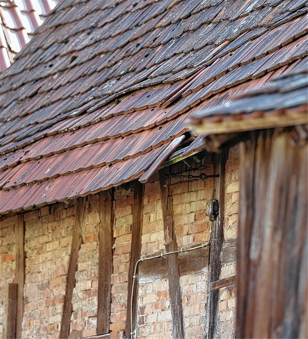 Wieder Schlappe für Sternenfels