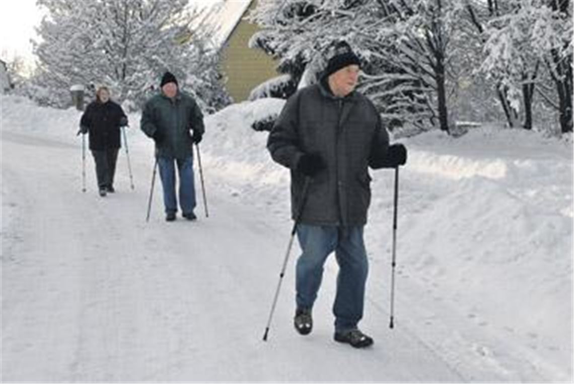 Viele Wanderer sind mit Stöcken unterwegs  da fehlen nur noch die Skier.