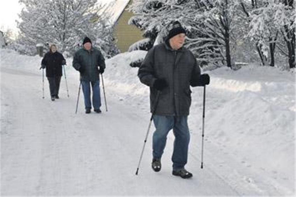 Viele Wanderer sind mit Stöcken unterwegs  da fehlen nur noch die Skier.