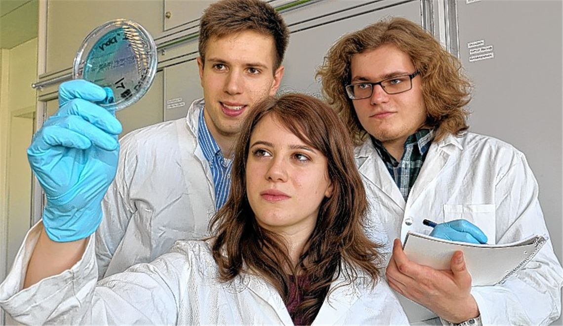 Vielversprechender Testlauf der Dekontaminations-Anlage: Leah Graumann und Karsten Müller kontrollieren die behandelte Joghurt-Lösung in der Petrischale auf Bakterien-Konzentration. Timur Raupach protokolliert die Ergebnisse. Foto: Hansen