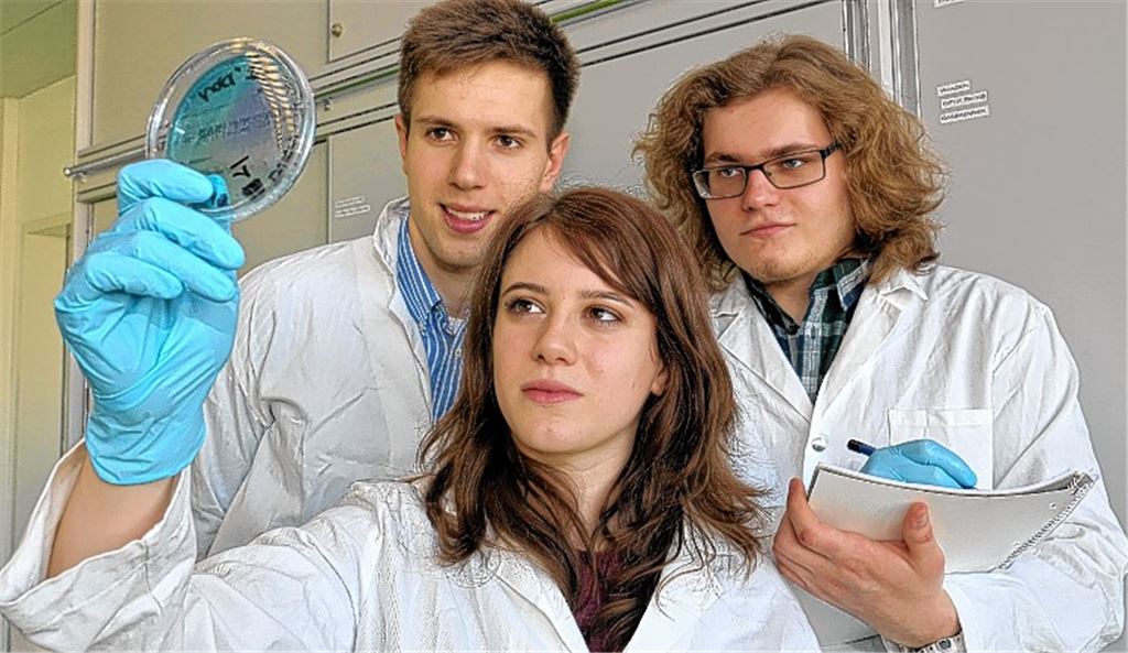 Vielversprechender Testlauf der Dekontaminations-Anlage: Leah Graumann und Karsten Müller kontrollieren die behandelte Joghurt-Lösung in der Petrischale auf Bakterien-Konzentration. Timur Raupach protokolliert die Ergebnisse. Foto: Hansen