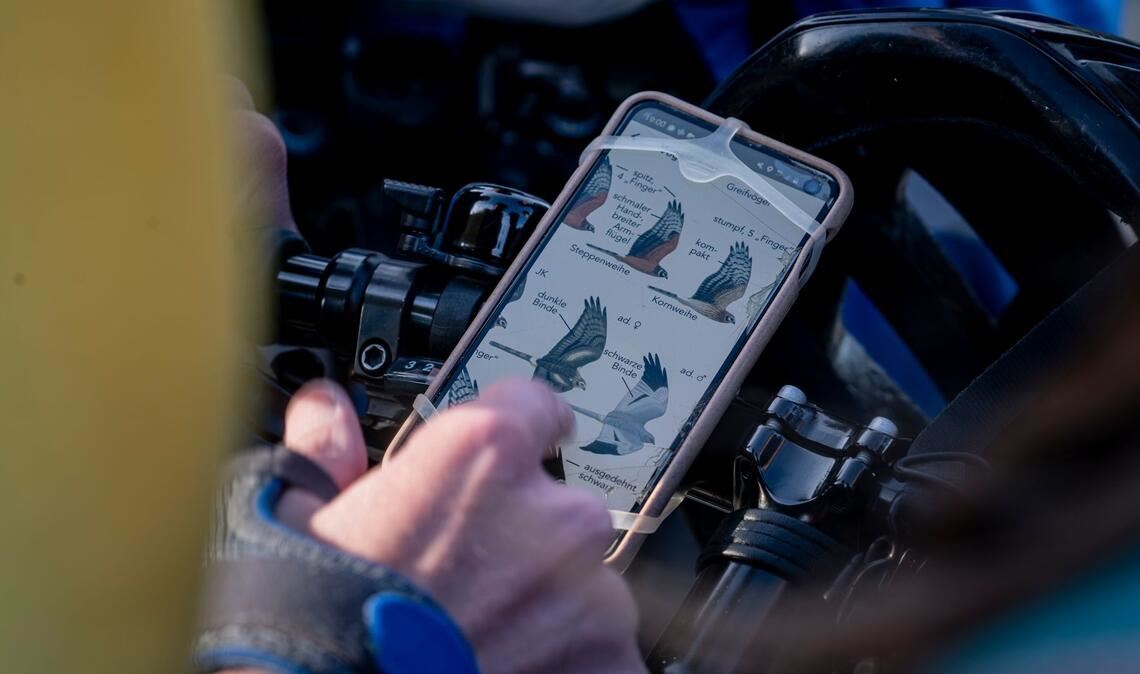 Vogel-Bestimmung via Smartphone.