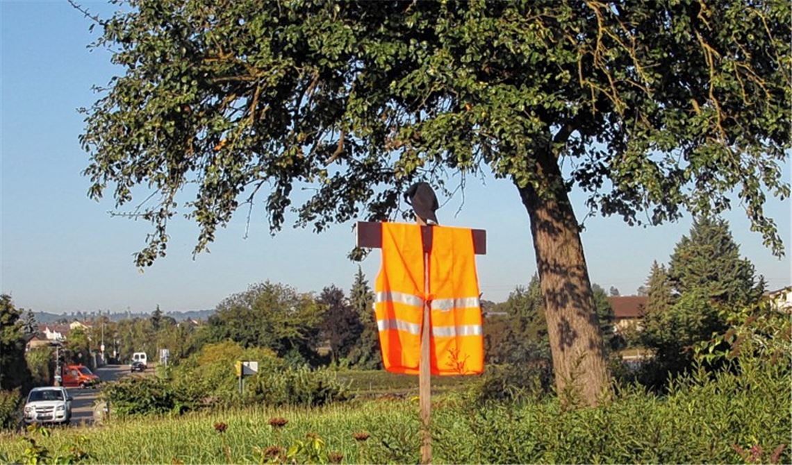 „Vogelscheuche“ im Kreisel. Foto: Sadler