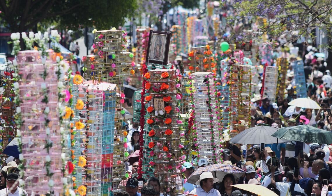 Vogelverkäufer gehen mit geschmückten Vogelkäfigen während einer jährlichen Wallfahrt zur Basilika Unserer Lieben Frau von Guadalupe in Mexiko-Stadt.