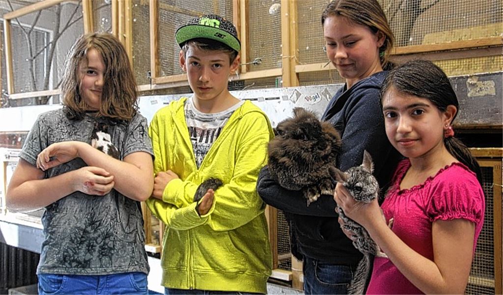 Volle Konzentration, damit der kleine Freund nicht entwischt: Justin (12 Jahre), Juri (12), Nina (12) und Nermin (11). Die Tiere des Illinger Schulzoos brauchen viel Pflege (Foto oben re.). Zu den Lebewesen im ganz besonderen Klassenzimmer gehört das „Wandelnde Blatt“, das sich durch seine Gestalt in der freien Natur gut tarnen kann (unten re.). 