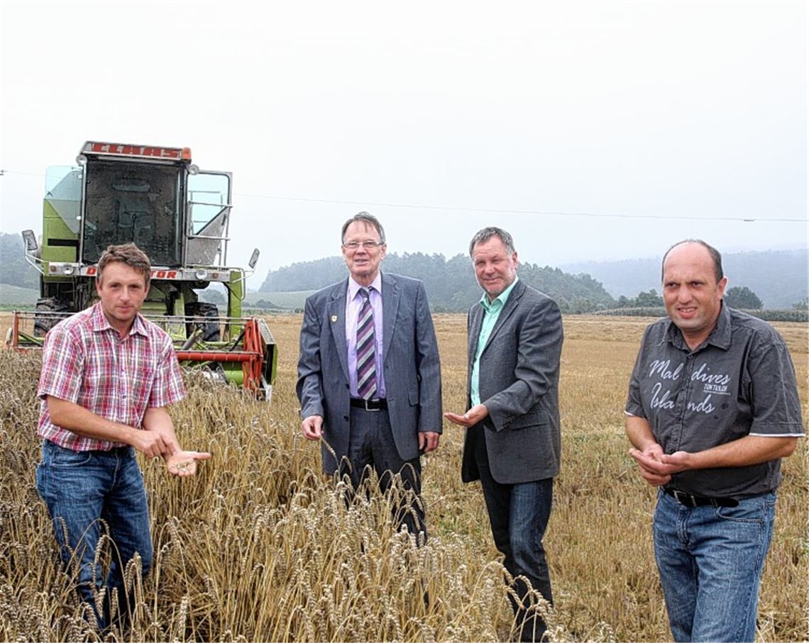 Voller Einsatz für die Getreidekörner: Kreisbauernverbandsvorsitzender Ulrich Hauser (v.li.), Dezernent Karl-Heinz Zeller, Landwirtschaftsamtsleiter Jürgen Krepp und Landwirt Thomas Bentel.