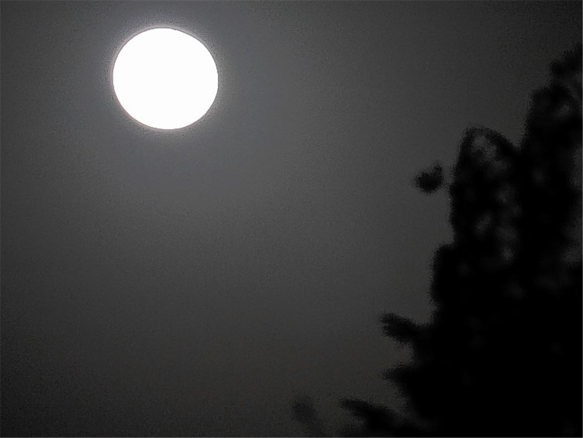 Winterbilder Winterbilder