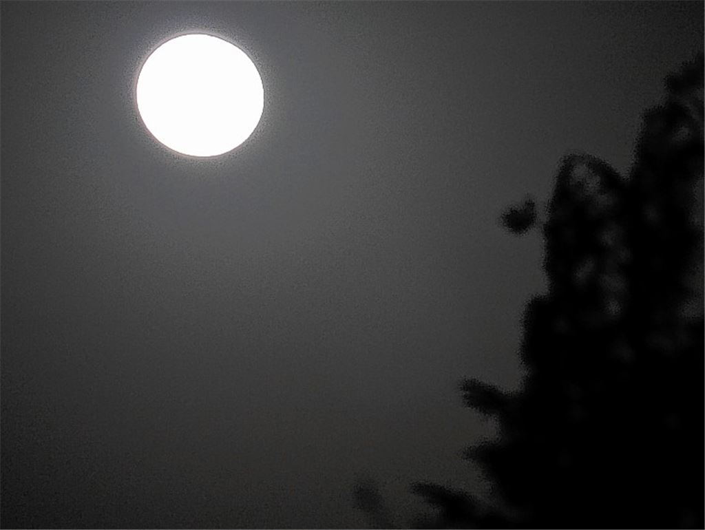 Winterbilder