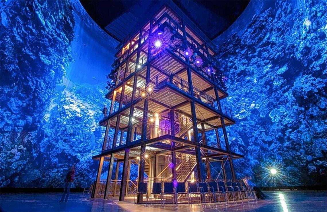 Korallenriff übertrifft alle Erwartungen