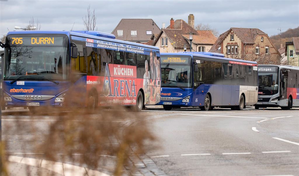 Vom Dreh- und Angelpunkt am Bahnhof in Mühlacker aus sollen die regionalen Buslinien laut aktueller Planungen künftig circa 630000 Kilometer im Jahr zurücklegen. Foto: Fotomoment