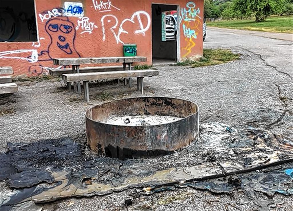 Vandalen verbrennen komplettes Dixi-Klo