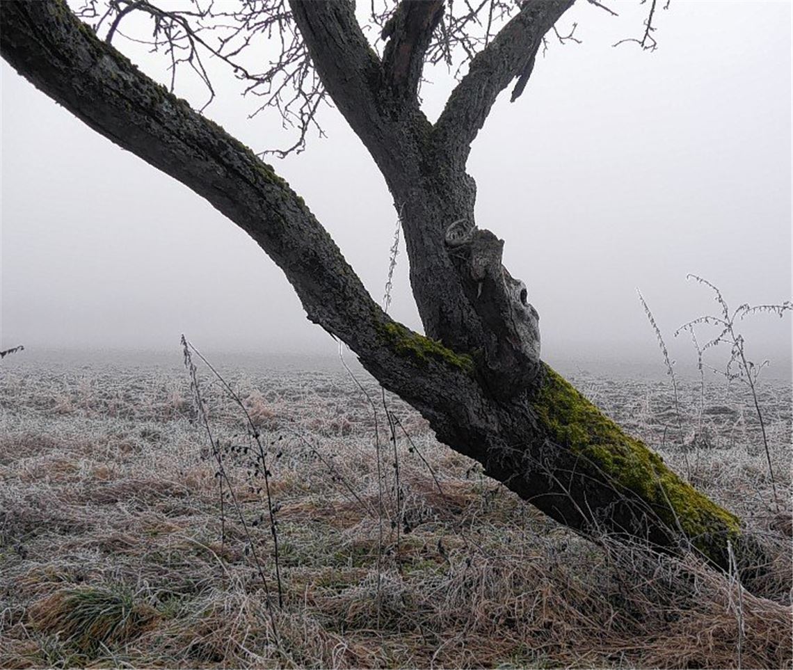Winterzeit