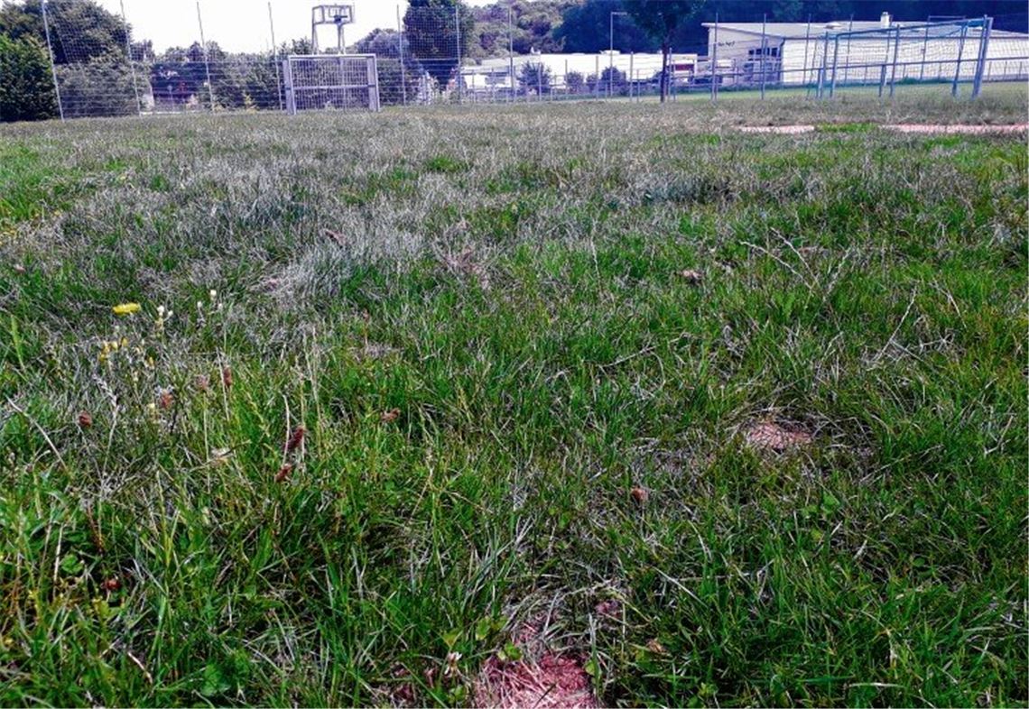 „Da bricht man sich die Beine“