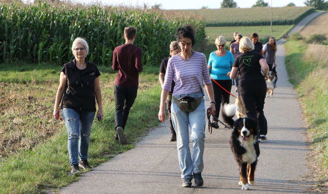 Mensch und Hund in perfekter Harmonie Von Joggern und Spaziergängern dürfen sich die Hunde nicht ablenken lassen. Foto: Klassen