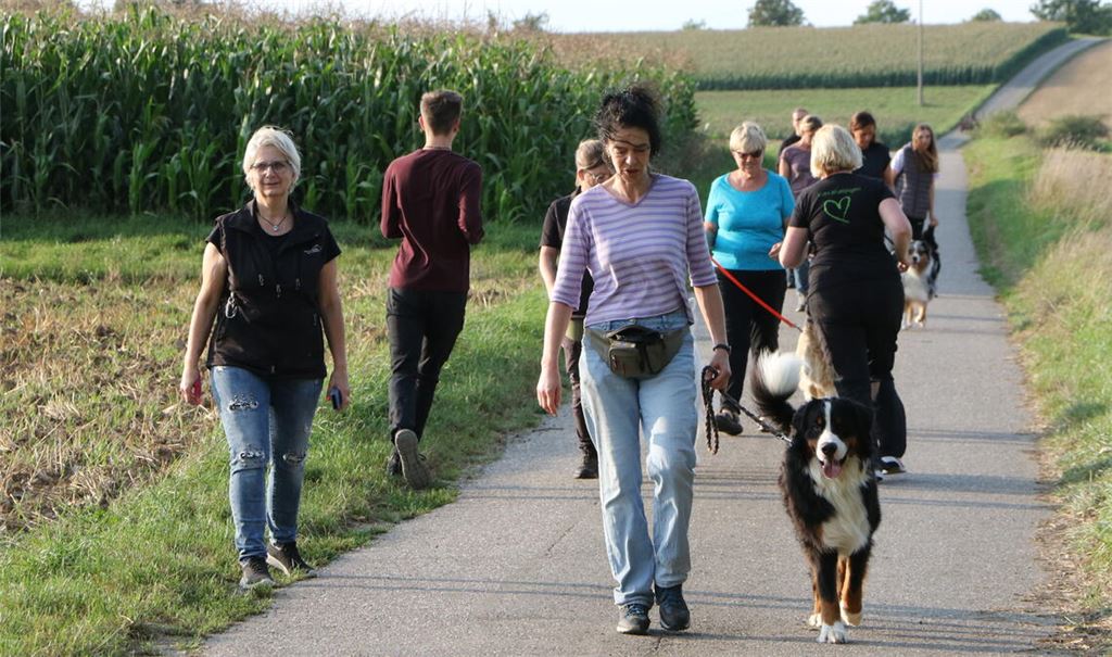Von Joggern und Spaziergängern dürfen sich die Hunde nicht ablenken lassen. Foto: Klassen