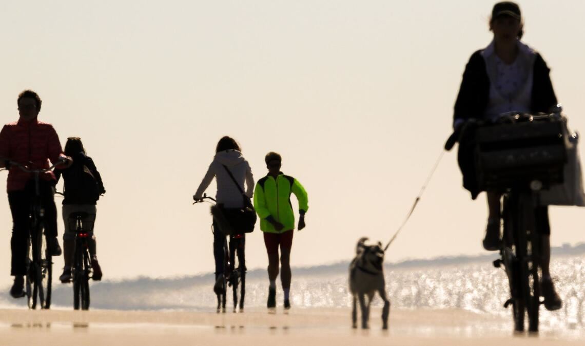 Von Sport profitieren Frauenherzen mehr als Männerherzen. (Illustration)