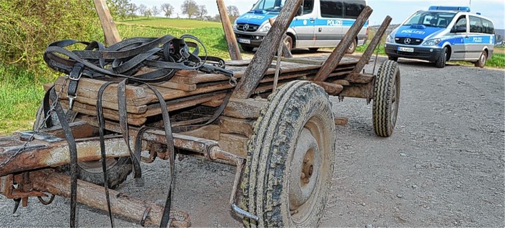 Tödlicher Unfall mit Pferdegespann
