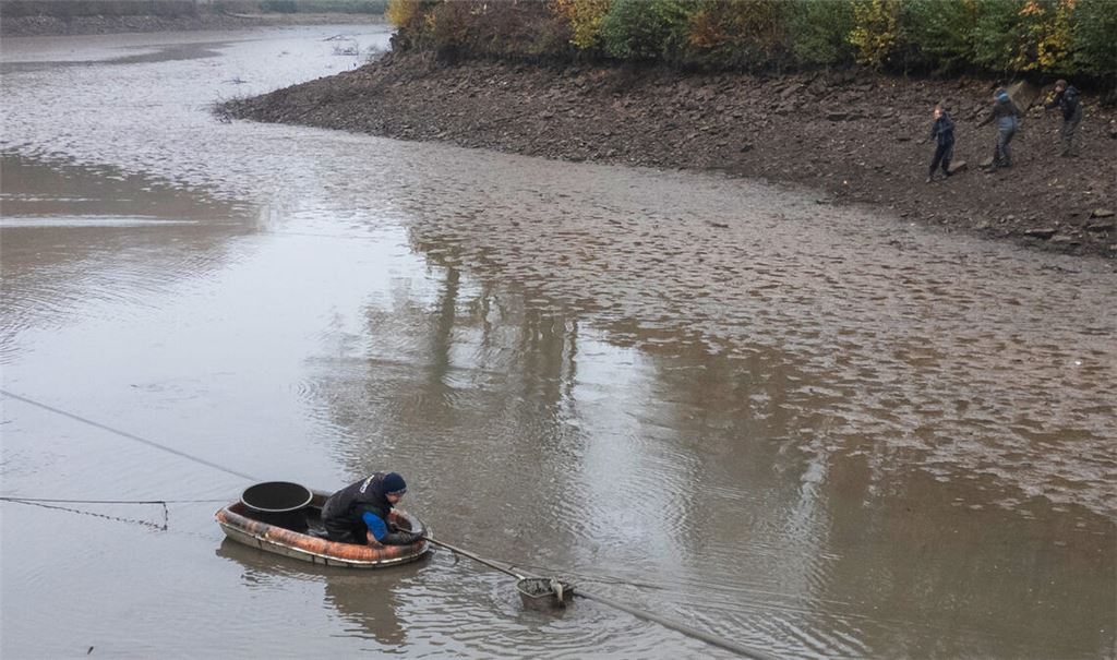 Von einem kleinen Boot aus holt dieser Helfer Fische aus dem „Tiefen See“. Sie werden später zum Aalkistensee gebracht. Fotos: Fotomoment