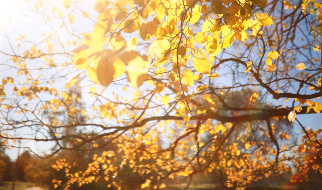 Von einer Hitzewelle sind wir weit entfernt.