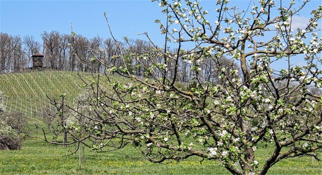 Wege zur Kultur