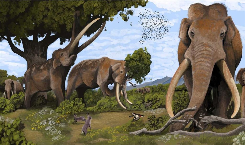 Vor 120.000 Jahren waren Europäische Waldelefanten (Palaeoloxodon antiquus) in Europa verbreitet.