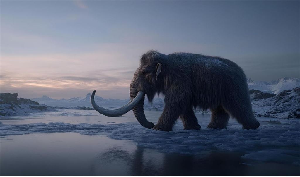 Vor 20.000 Jahren durchstreiften Wollhaarmammuts die eisigen Tundren Europas.