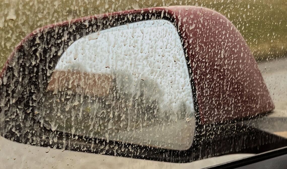 Vor allem in einer Region im Südwesten kann es am Dienstag nach Einschätzung des Deutschen Wetterdienstes zu einem leichten Blutregen kommen. (Archivbild)