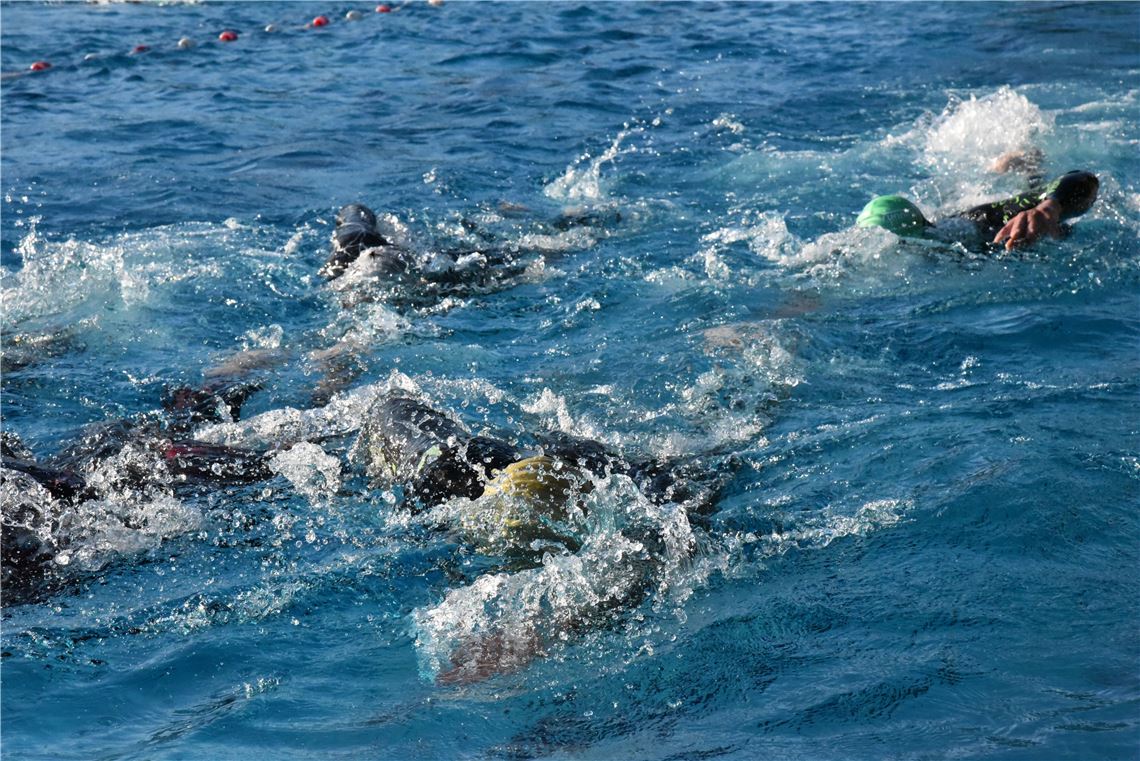 Schwimm-Seminar im Mühlacker Freibad