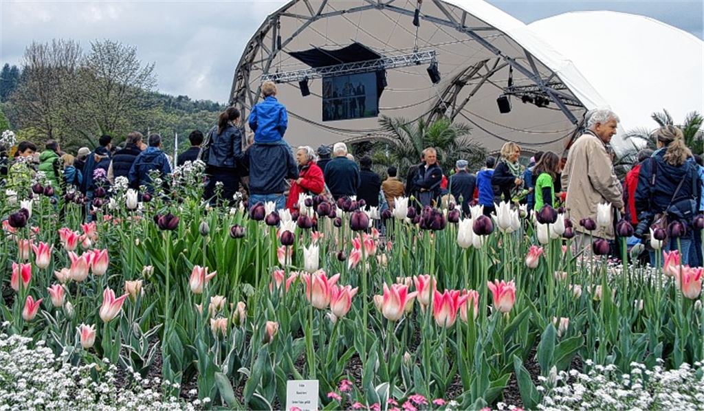 Vorgeschmack auf 2015: Am Sonntag, 21. Juli, wollen die Stadt Mühlacker und zehn Vereine und Institutionen in Sigmaringen kräftig für die „Enzgärten“ werben.